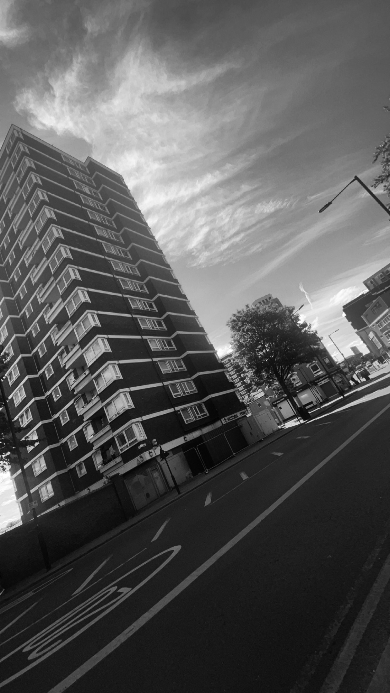 Eukaryotic and Prokaryotic Cells Flashcards