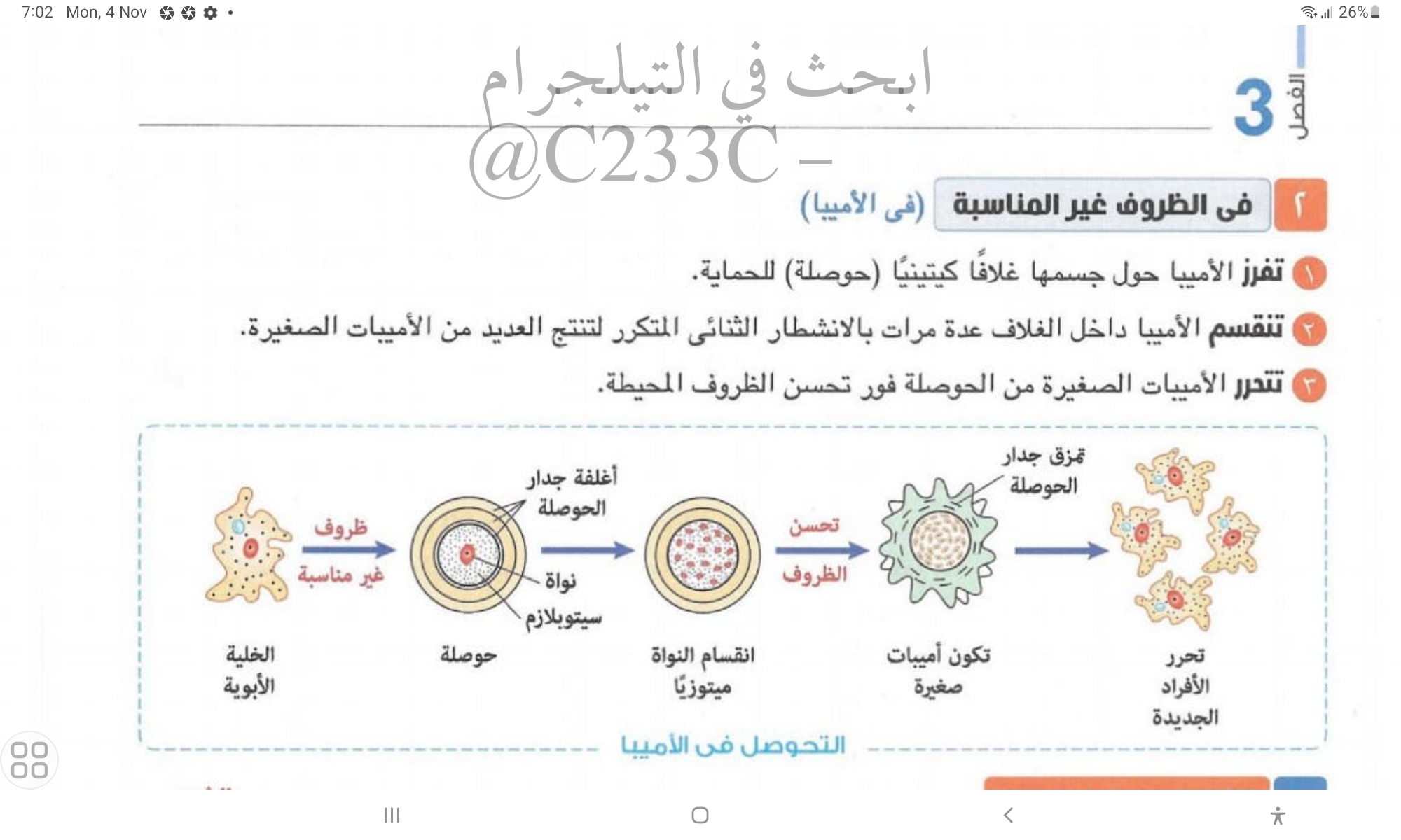 added card