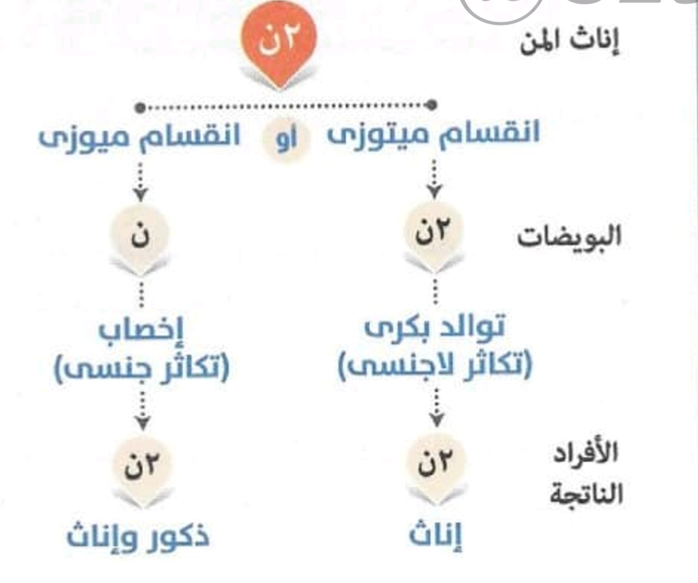 added card