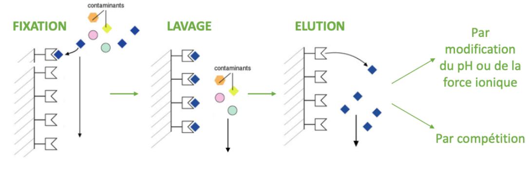 Chimie Analytique Flashcards