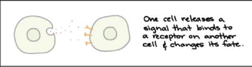added card