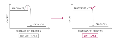 Factors Affecting Rates Of Reaction | Flashcards