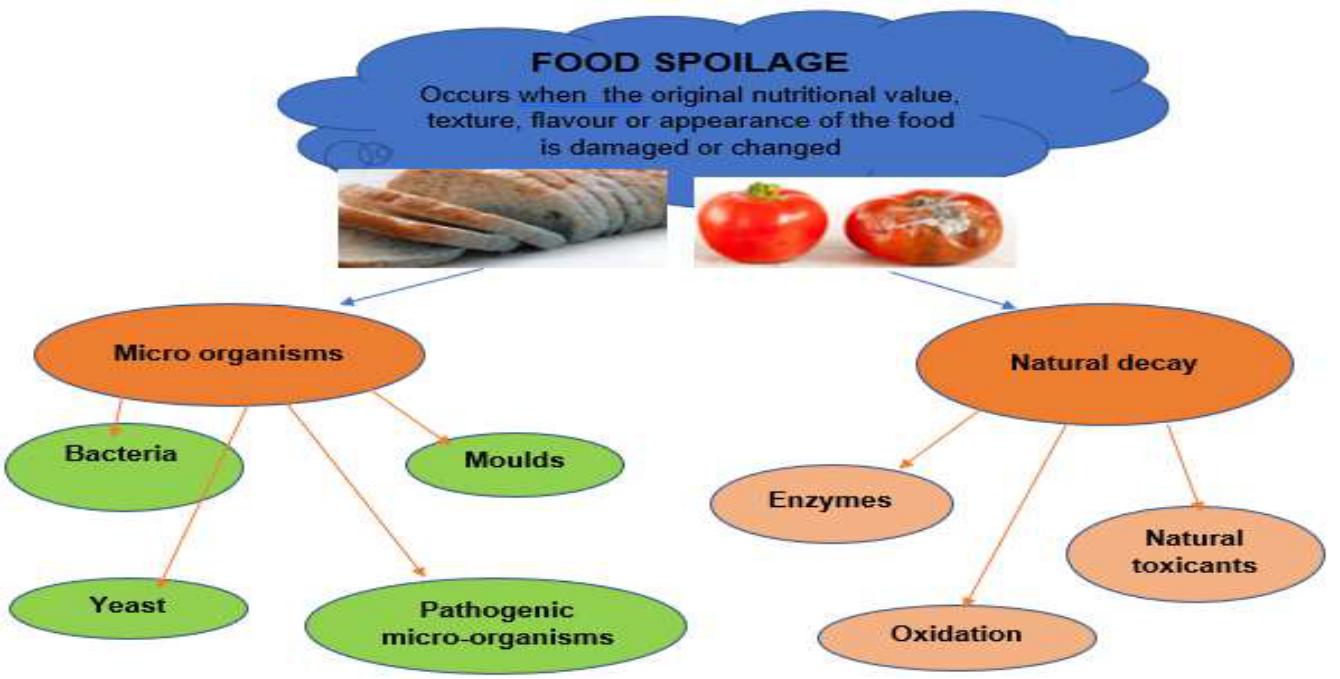 Consumer Studies Flashcards