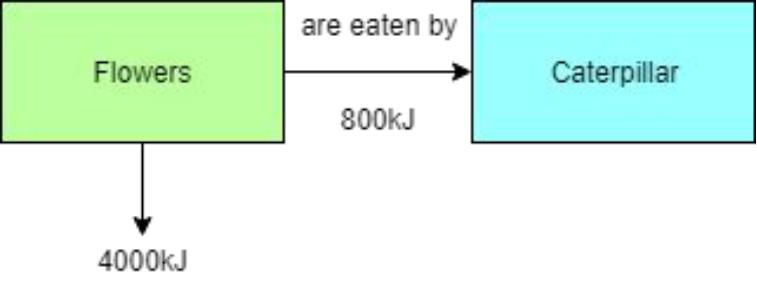 added card