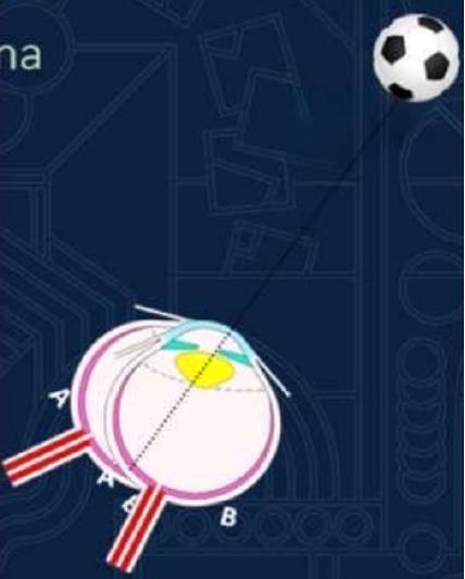 added card