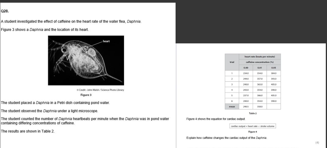 added card