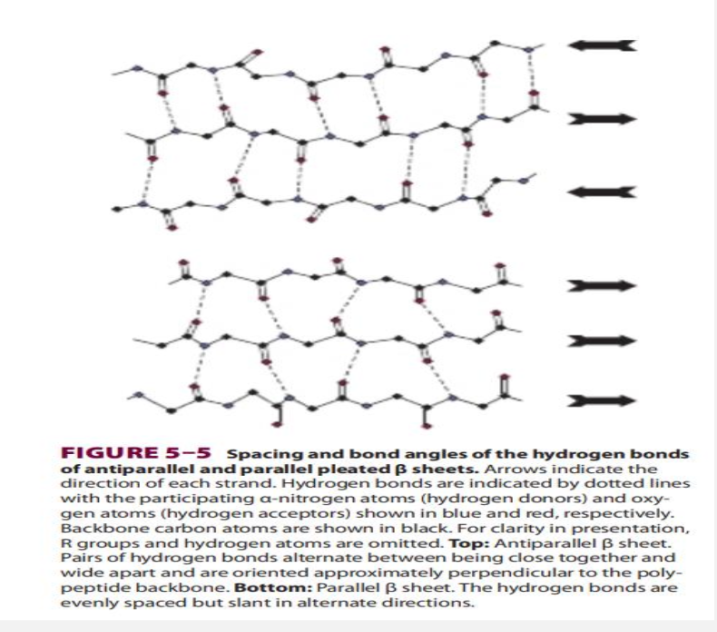 Chapter 4 & 5 Flashcards
