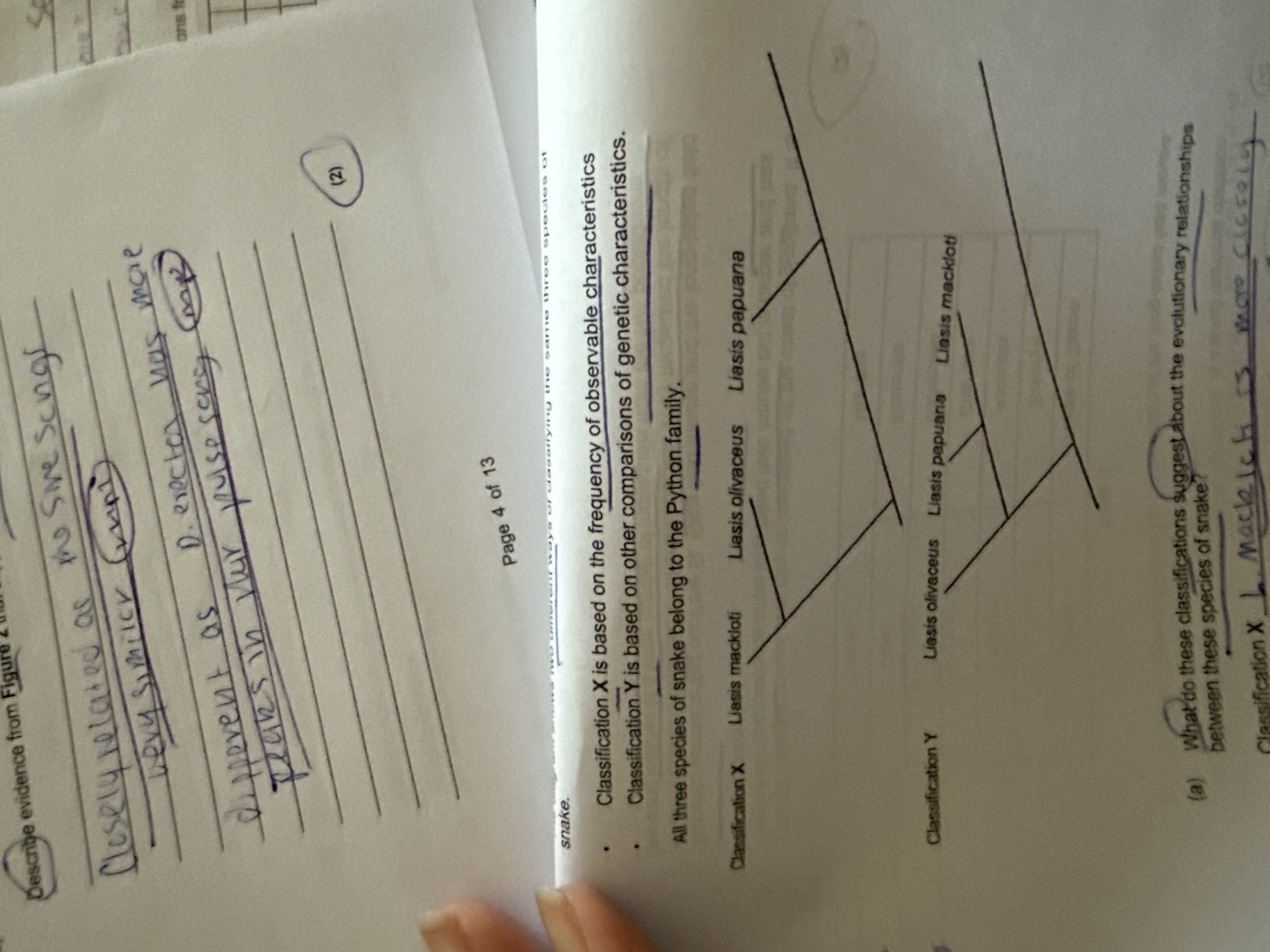 added card