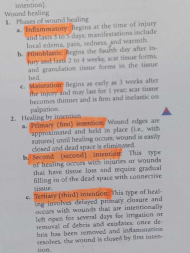 Chapter 16 (hygiene, Mobility, and Skin Integrity) Flashcards