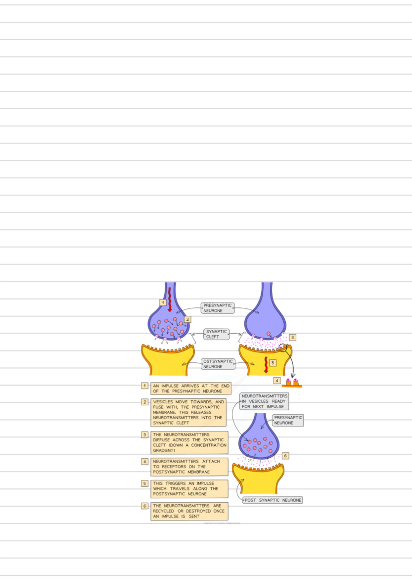 added card