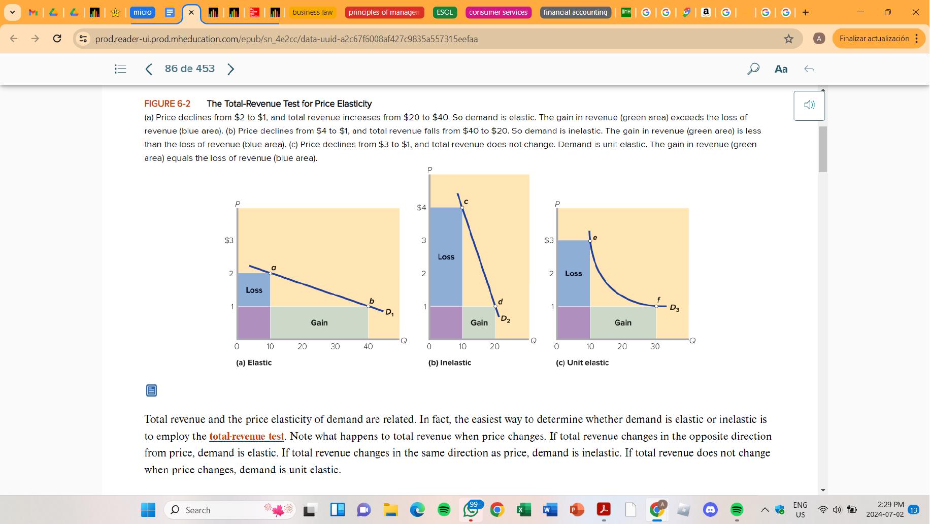 Chapter 6 Elasticity Flashcards
