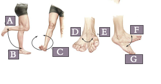 added card