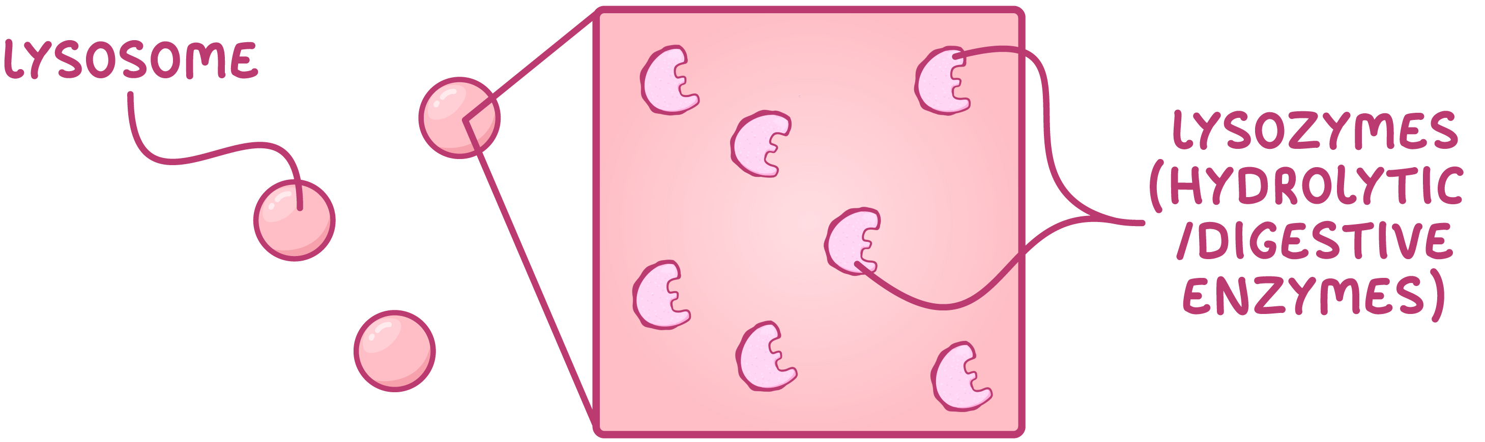 added card