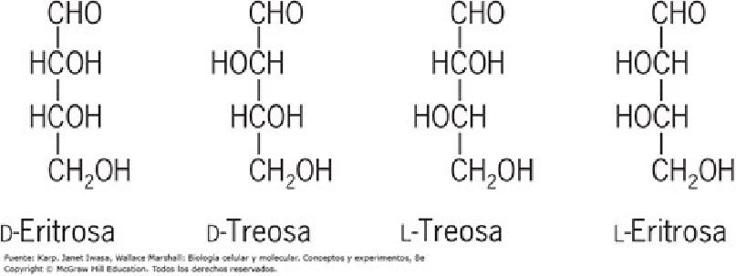 Carbohidratos | Flashcards