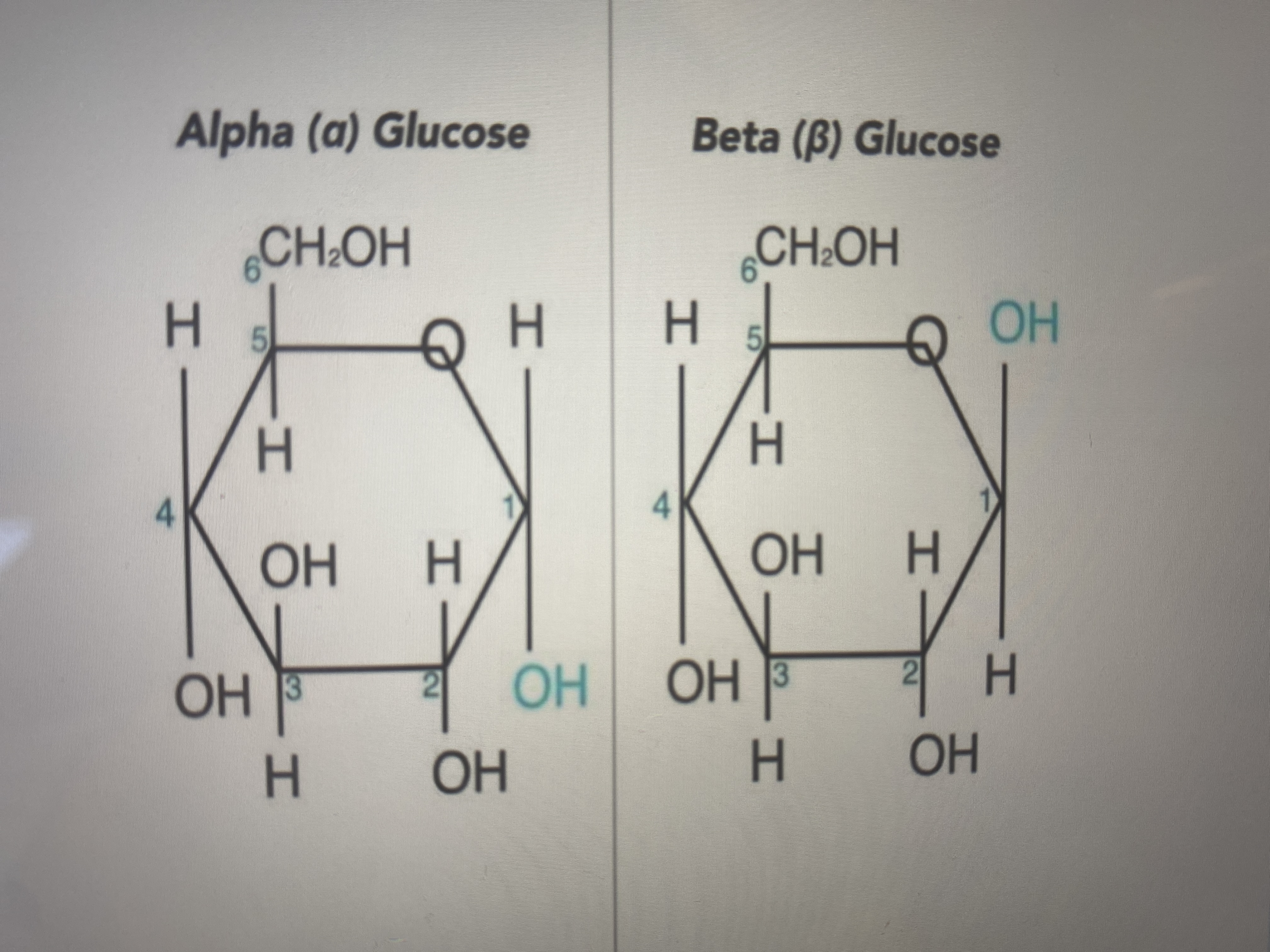 Theme 5 Condensation and Hydrolysis Flashcards
