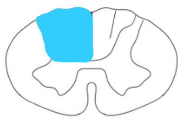 added card
