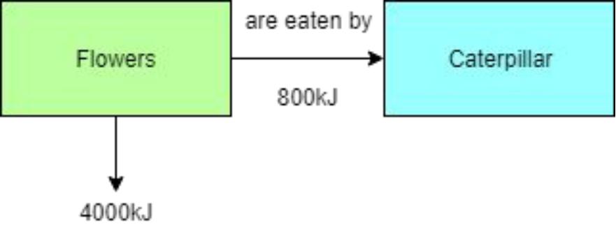 added card