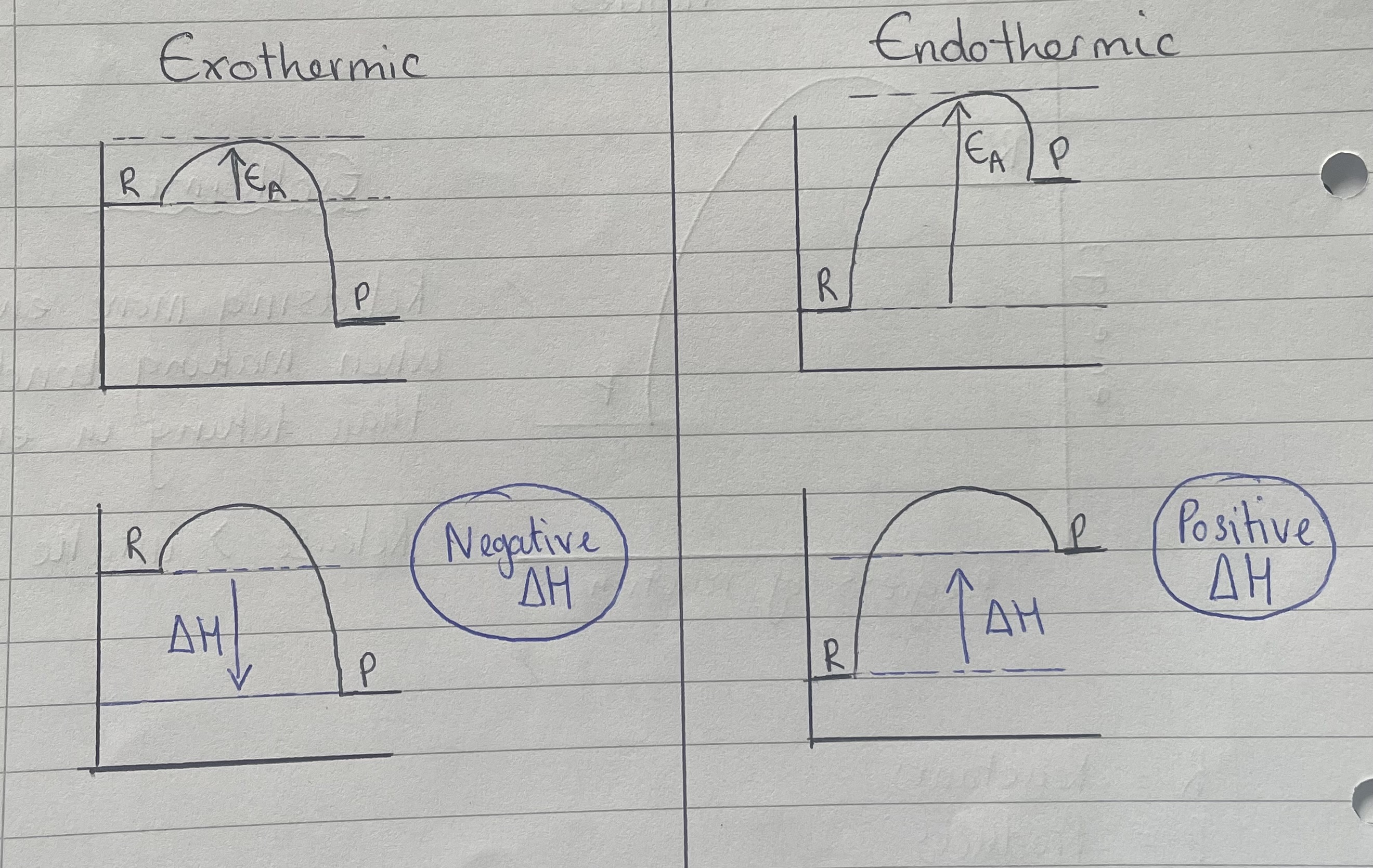 5 Energy Changes Flashcards